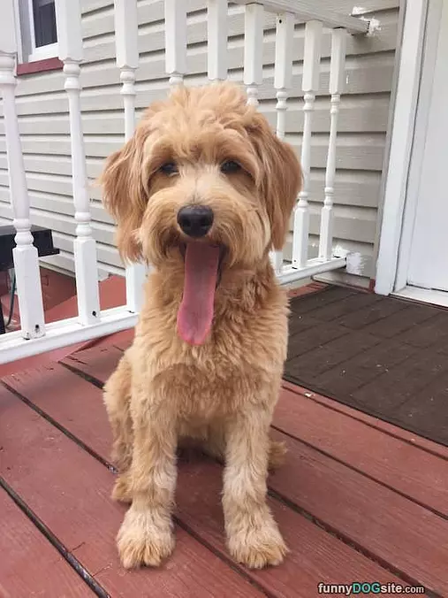 Long Long Tongue