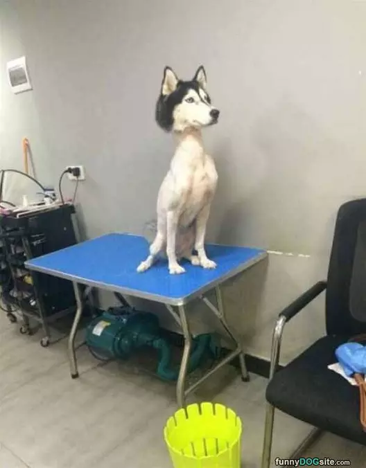 The Rest Is Fluff