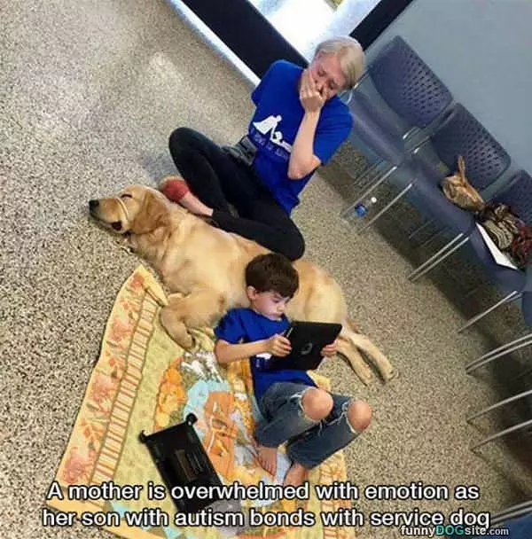 Bonding With The Dog