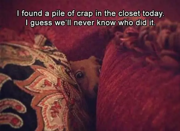 Never Know Who Did It