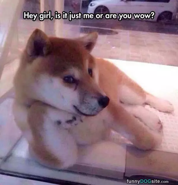 Hey Girl
