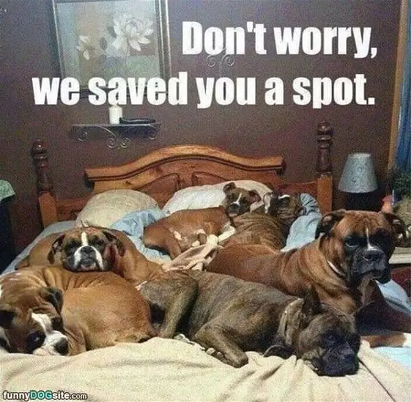 Saved You A Spot