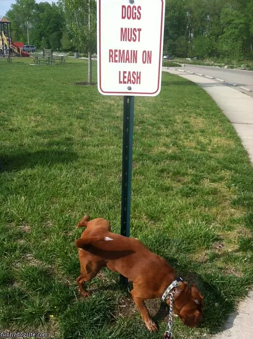 I Dont Like This Sign
