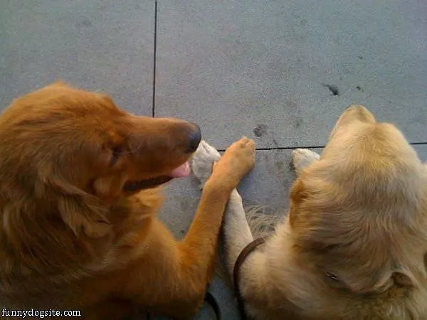 Holding Hands