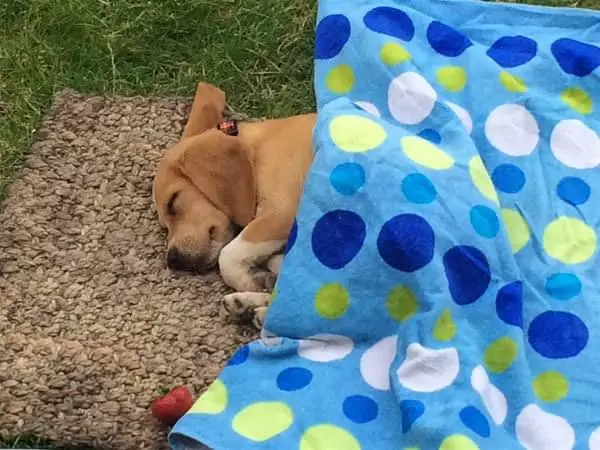 Tucked In