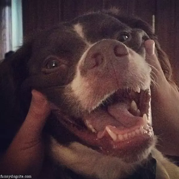 Big Smile