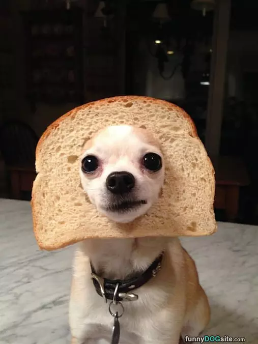 I Am Bread