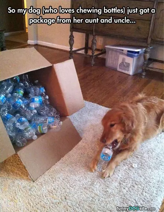 Loves Chewing Bottles