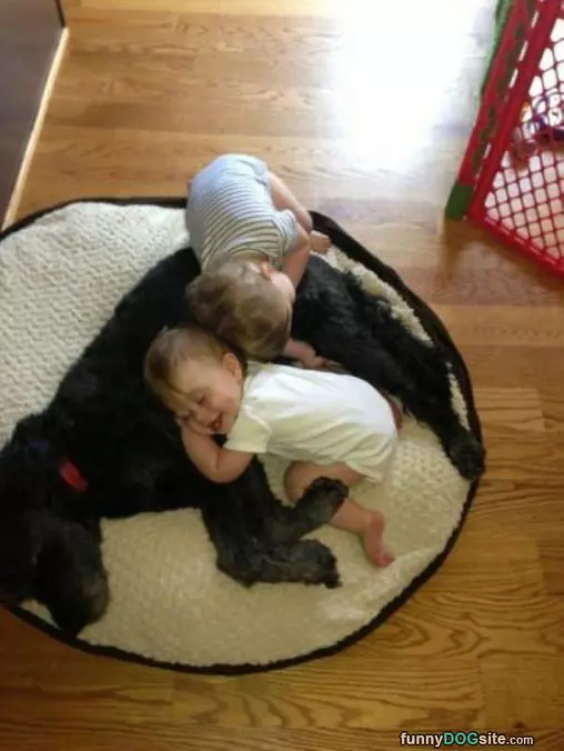 We Love Doggy