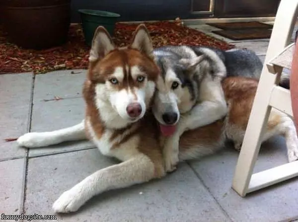 Pose For The Picture