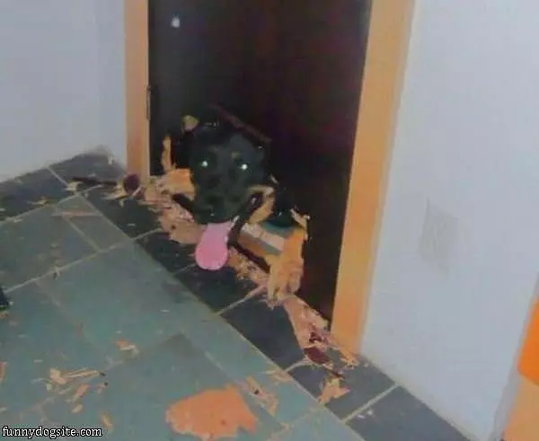 Happy To See You