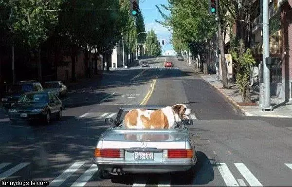 Going For A Ride