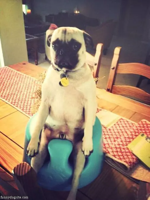 Just Chillin Here