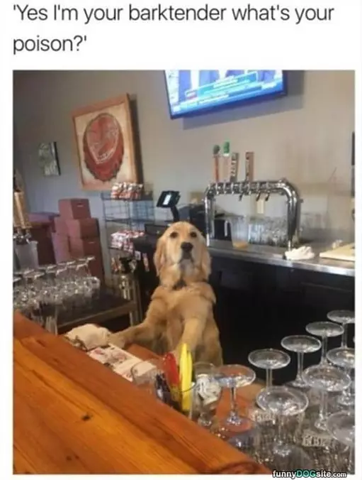 What Do You Want