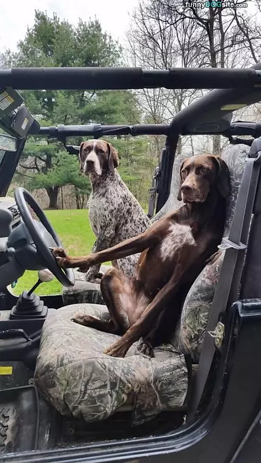 Ready For Hunting