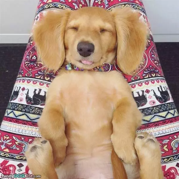 How Comfortable I Wish I Was