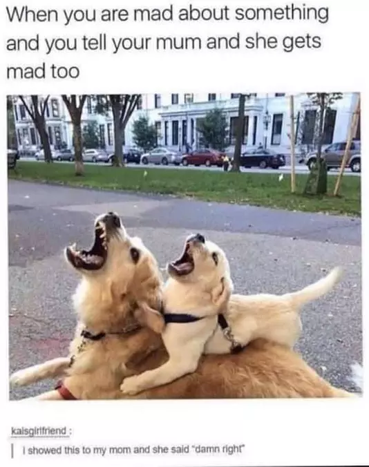 Mad About Something
