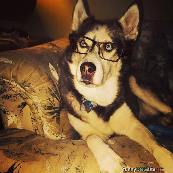 My Reading Glasses