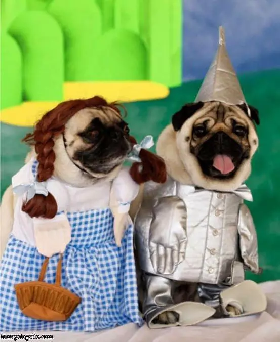 Having A Costume Party