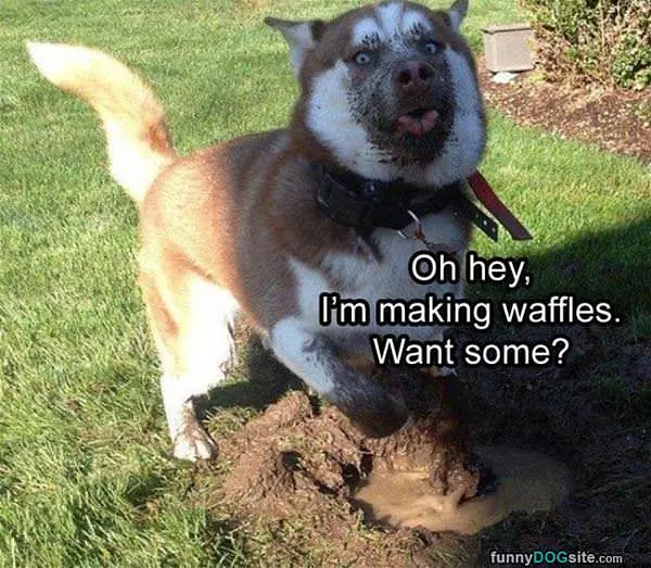 Do You Want Some