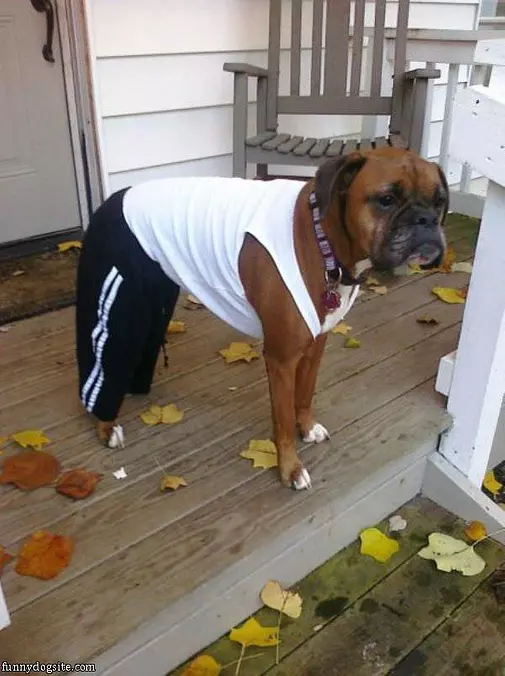 All Dressed Up