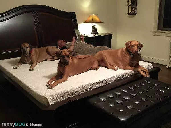 This Is Our Bed Now