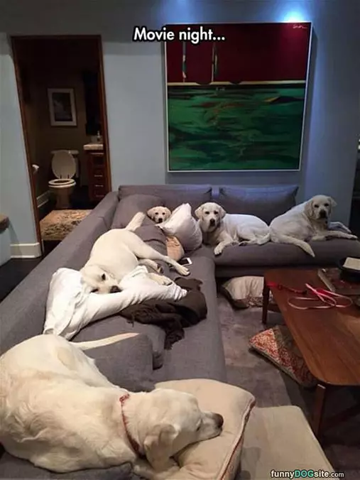 Movie Night