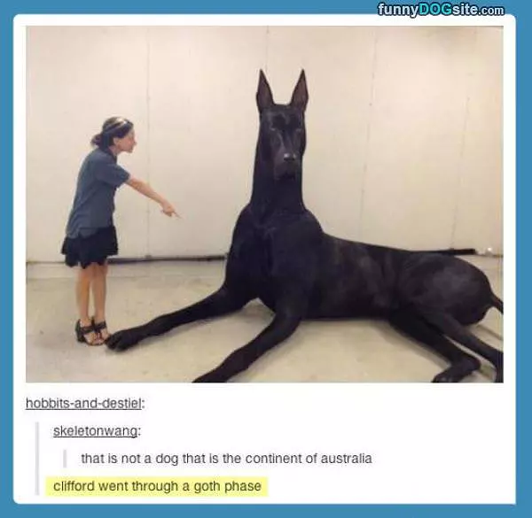 Giant Dog