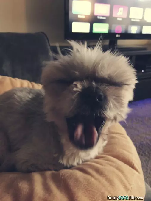Yawwwwwnnnnn