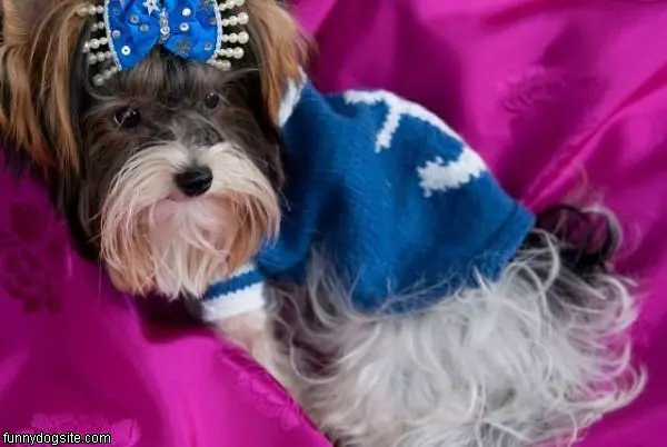 Scruffer Ball