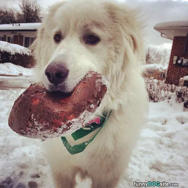 I Love The Snow Time