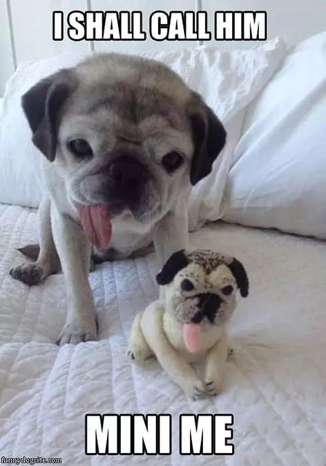 I Shall Call Him