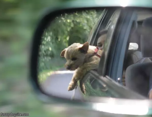 Getting Some Wind