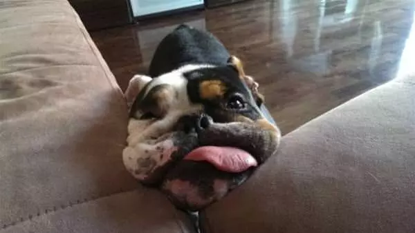 Hey Can I Has Some Of That