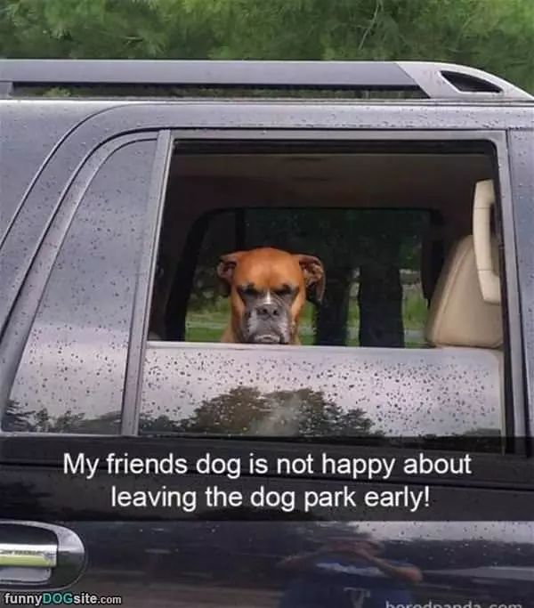 Not Happy About Leaving Early