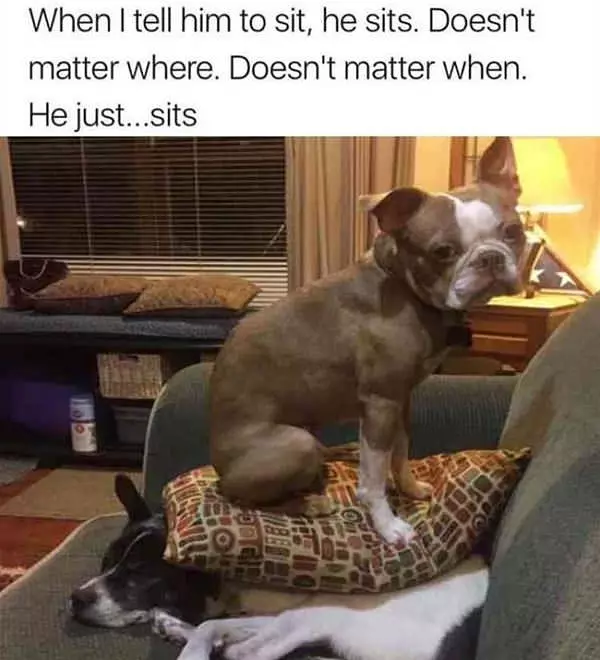 I Just Sits