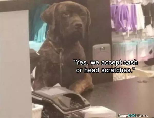 Yes We Accept