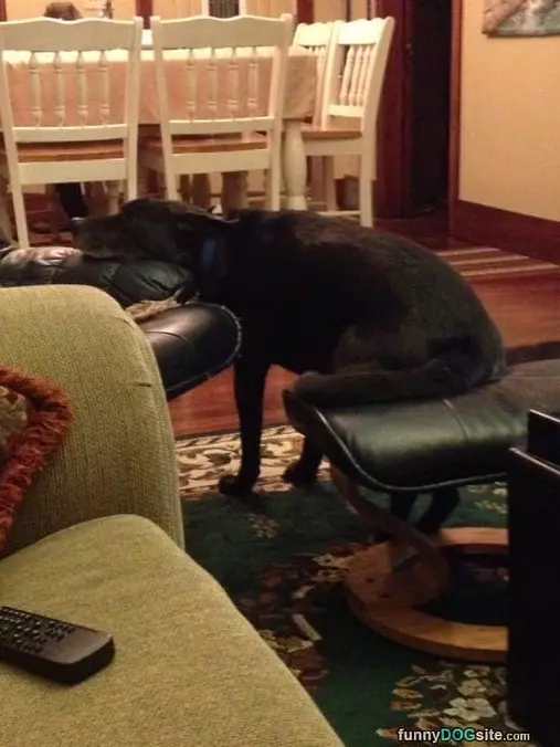 Murphy Had A Long Day