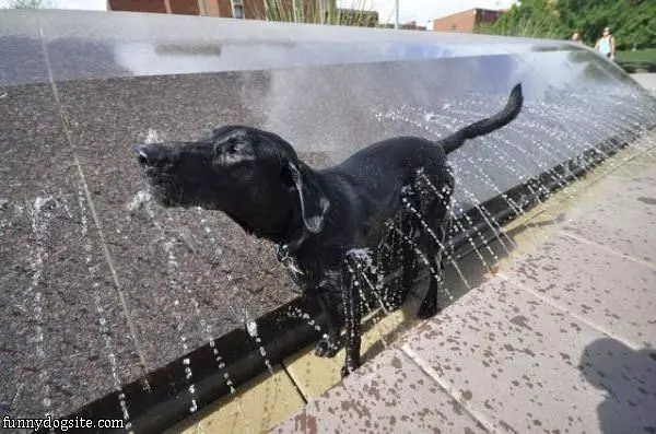 Most Fun Bath Ever