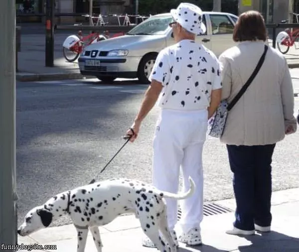 Dalmation Man