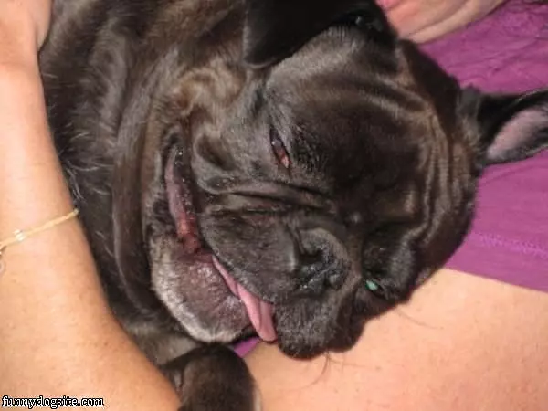 I Am Feeling So Lazy