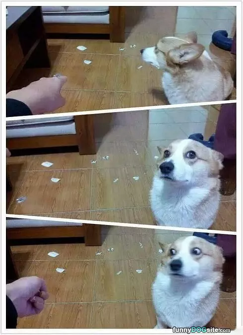 Wasnt Me