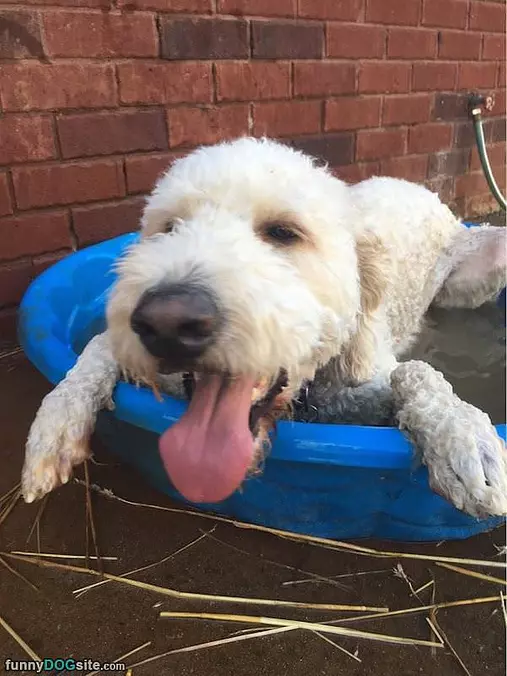 Thanks For The Cool Off