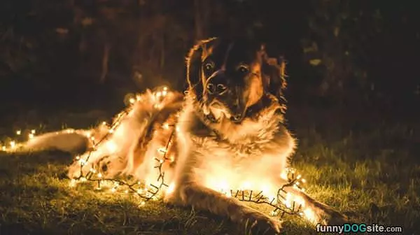 In The Christmas Spirit