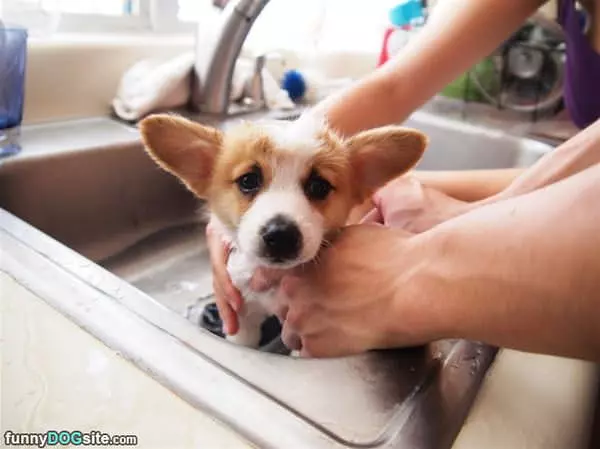 This Bath Makes Me Sad
