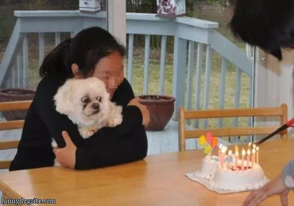Do Not Want Cake