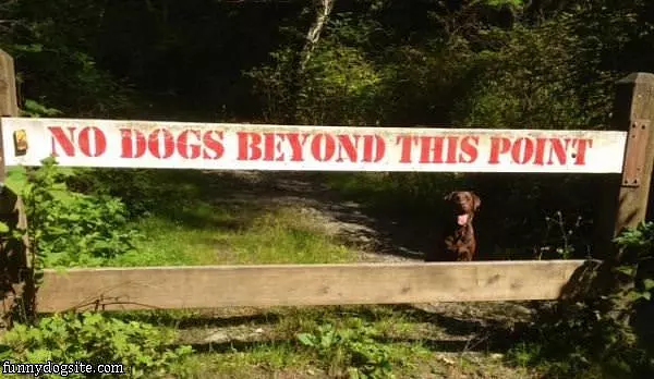 Breaking The Law