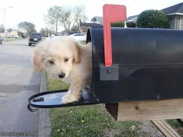 Youve Got Mail