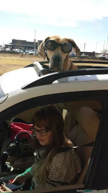 Highway Speeds Please