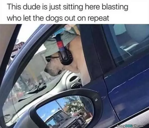 Who Let The Dogs Out